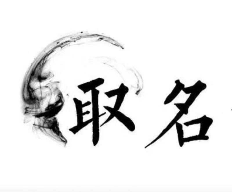  河西宝宝取名 大师一对一人工起名